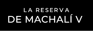 Logo La Reserva de Machalí V